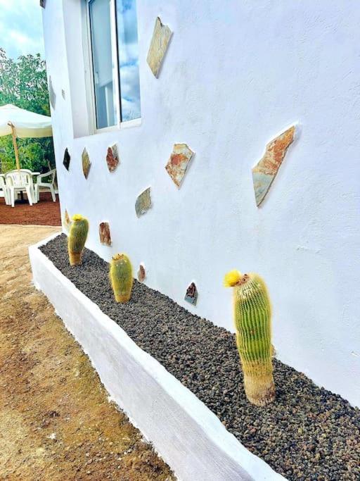 El Paraiso Escondido Santa Cruz de Tenerife Eksteriør bilde